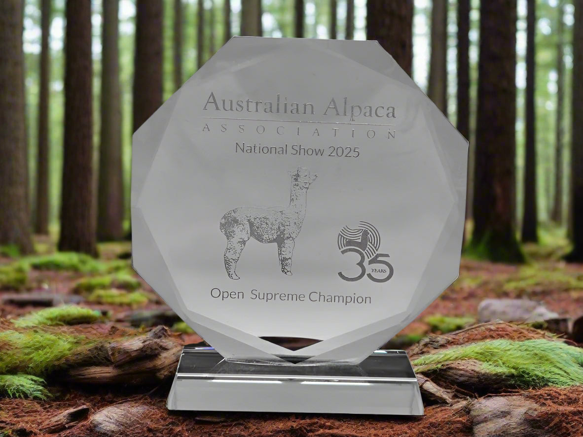 Trophies Glass Round