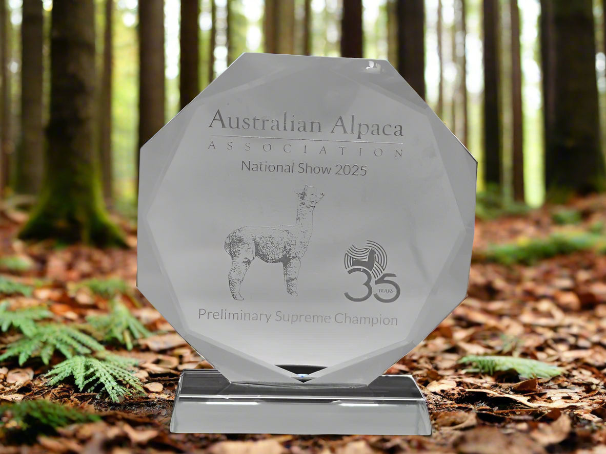 Trophies Glass Round
