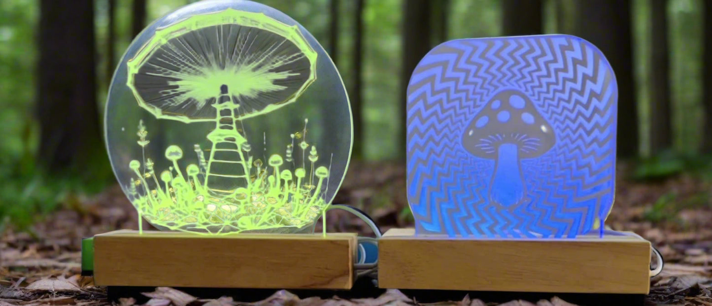 LED Acrylic Lights